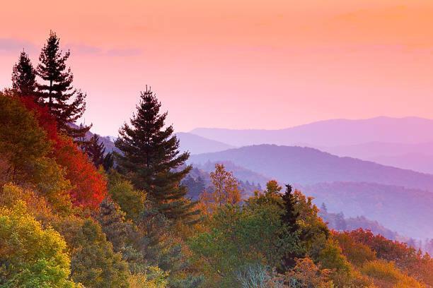 Dreams Come True With This Luxury Cabin! Gatlinburg Buitenkant foto
