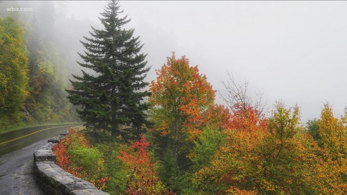 Dreams Come True With This Luxury Cabin! Gatlinburg Buitenkant foto