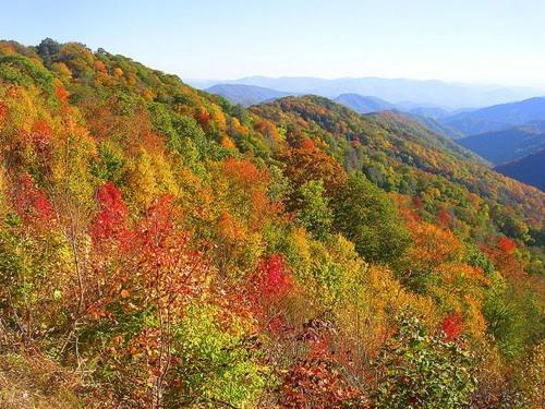 Dreams Come True With This Luxury Cabin! Gatlinburg Buitenkant foto