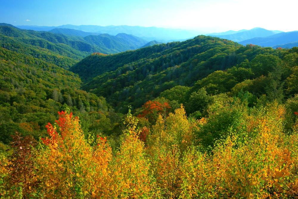Dreams Come True With This Luxury Cabin! Gatlinburg Buitenkant foto